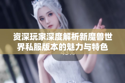 资深玩家深度解析新魔兽世界私服版本的魅力与特色