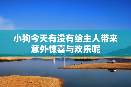 小狗今天有没有给主人带来意外惊喜与欢乐呢