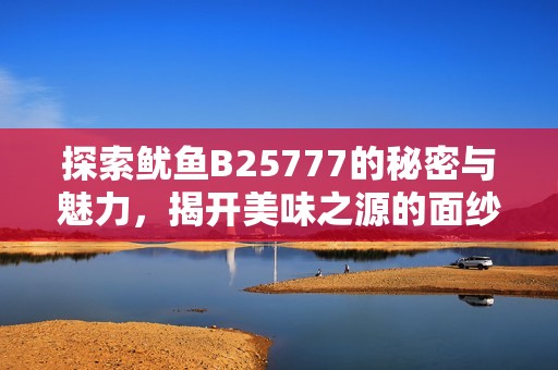 探索鱿鱼B25777的秘密与魅力，揭开美味之源的面纱