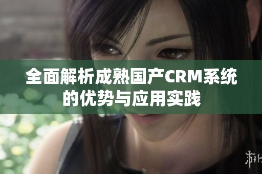 全面解析成熟国产CRM系统的优势与应用实践