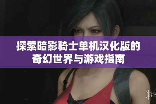 探索暗影骑士单机汉化版的奇幻世界与游戏指南