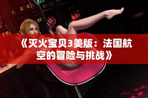 《灭火宝贝3美版：法国航空的冒险与挑战》