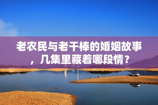 老农民与老干棒的婚姻故事，几集里藏着哪段情？