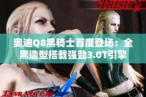 奥迪Q8黑骑士首度登场：全黑造型搭载强劲3.0T引擎