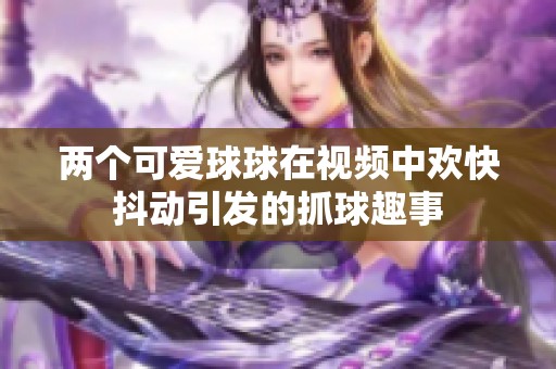 两个可爱球球在视频中欢快抖动引发的抓球趣事