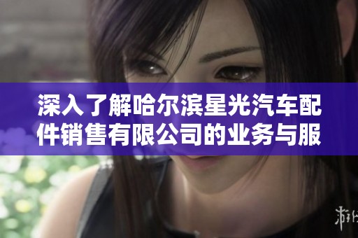 深入了解哈尔滨星光汽车配件销售有限公司的业务与服务