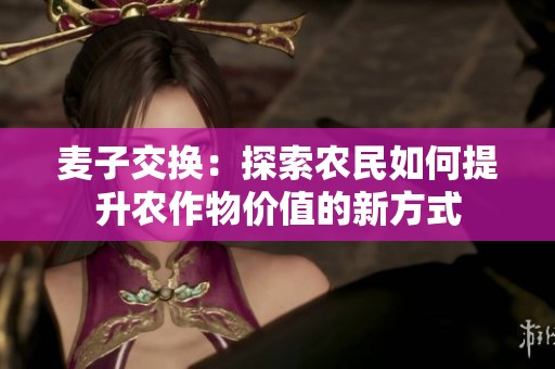 麦子交换：探索农民如何提升农作物价值的新方式