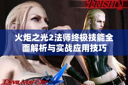 火炬之光2法师终极技能全面解析与实战应用技巧