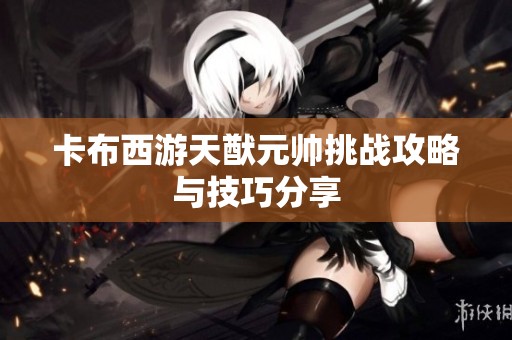卡布西游天猷元帅挑战攻略与技巧分享
