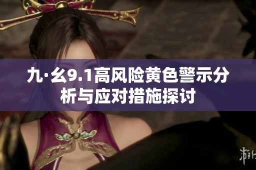 九·幺9.1高风险黄色警示分析与应对措施探讨
