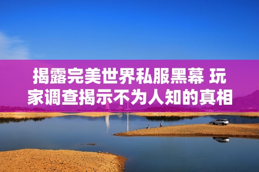 揭露完美世界私服黑幕 玩家调查揭示不为人知的真相