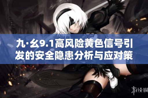 九·幺9.1高风险黄色信号引发的安全隐患分析与应对策略