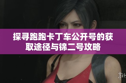 探寻跑跑卡丁车公开号的获取途径与锦二号攻略