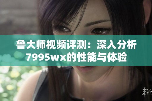 鲁大师视频评测：深入分析7995wx的性能与体验