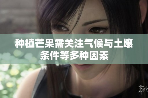 种植芒果需关注气候与土壤条件等多种因素