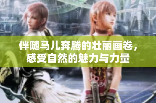 伴随马儿奔腾的壮丽画卷，感受自然的魅力与力量