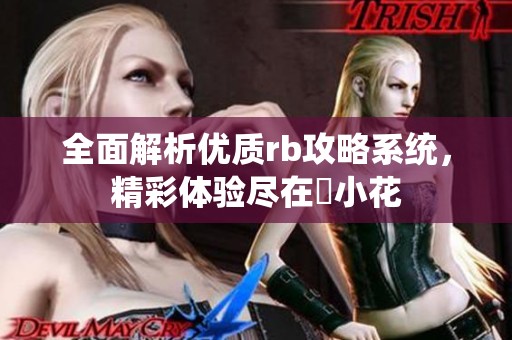 全面解析优质rb攻略系统，精彩体验尽在寀小花