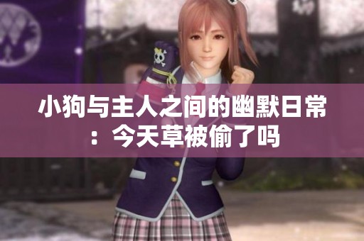 小狗与主人之间的幽默日常：今天草被偷了吗
