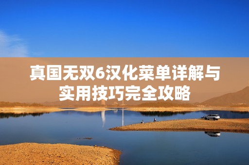 真国无双6汉化菜单详解与实用技巧完全攻略