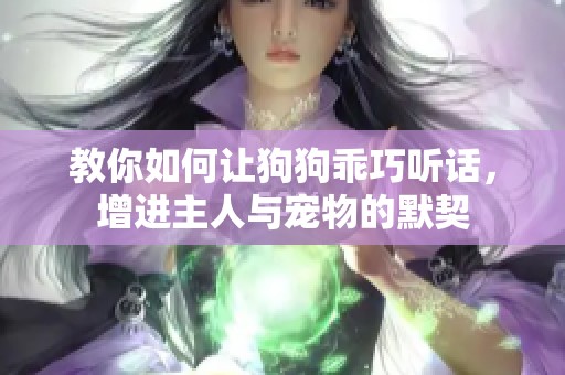 教你如何让狗狗乖巧听话，增进主人与宠物的默契