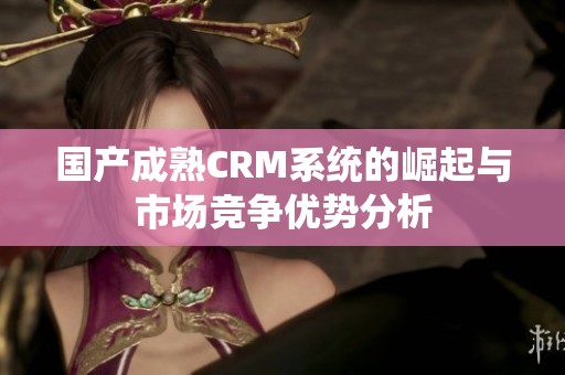 国产成熟CRM系统的崛起与市场竞争优势分析