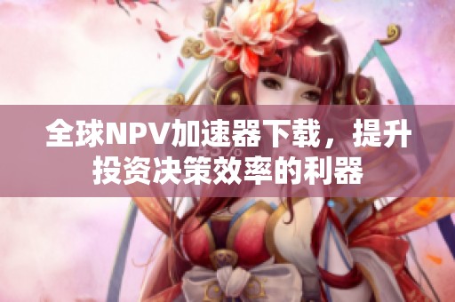 全球NPV加速器下载，提升投资决策效率的利器
