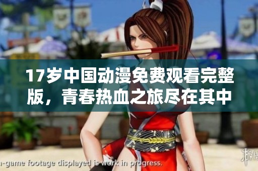 17岁中国动漫免费观看完整版，青春热血之旅尽在其中