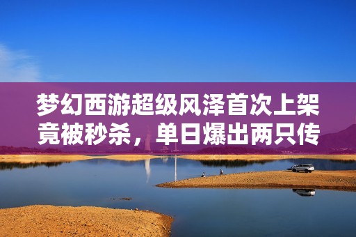 梦幻西游超级风泽首次上架竟被秒杀，单日爆出两只传奇角色