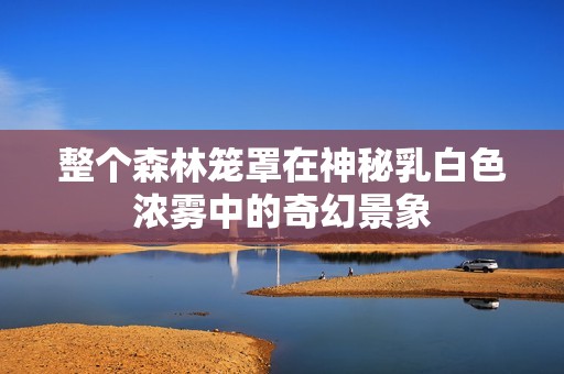 整个森林笼罩在神秘乳白色浓雾中的奇幻景象
