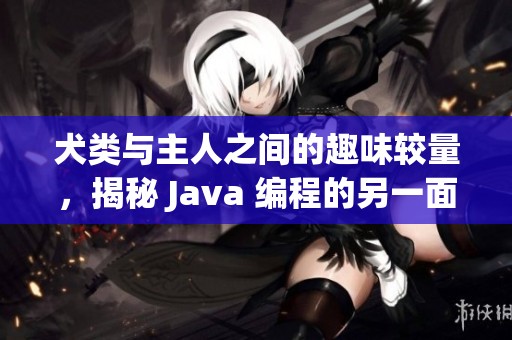 犬类与主人之间的趣味较量，揭秘 Java 编程的另一面