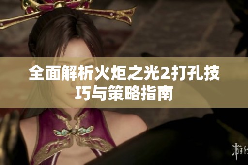 全面解析火炬之光2打孔技巧与策略指南