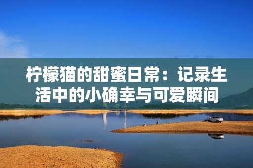 柠檬猫的甜蜜日常：记录生活中的小确幸与可爱瞬间