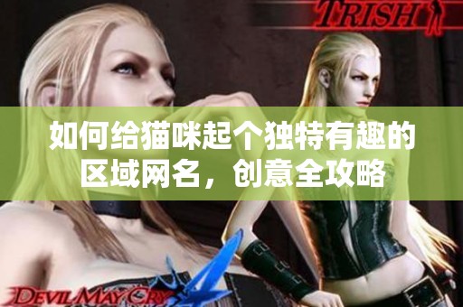 如何给猫咪起个独特有趣的区域网名，创意全攻略