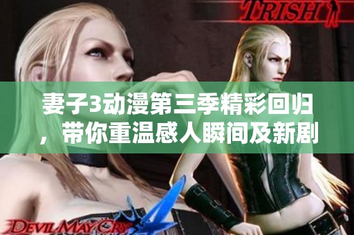 妻子3动漫第三季精彩回归，带你重温感人瞬间及新剧情探险