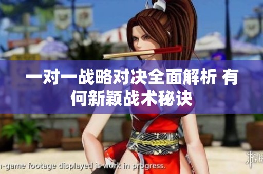 一对一战略对决全面解析 有何新颖战术秘诀