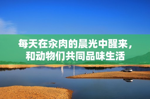 每天在汆肉的晨光中醒来，和动物们共同品味生活