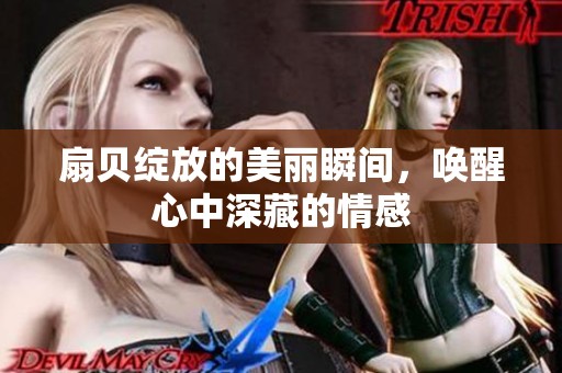 扇贝绽放的美丽瞬间，唤醒心中深藏的情感