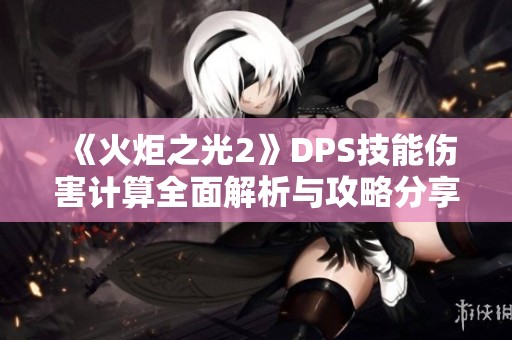 《火炬之光2》DPS技能伤害计算全面解析与攻略分享