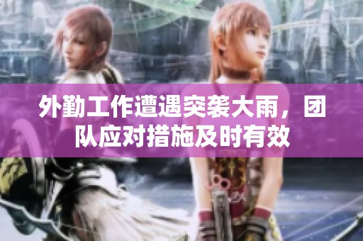 外勤工作遭遇突袭大雨，团队应对措施及时有效
