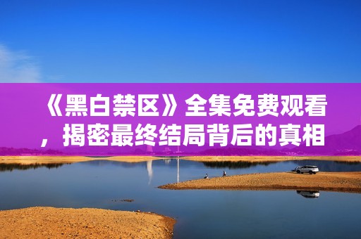 《黑白禁区》全集免费观看，揭密最终结局背后的真相与惊喜