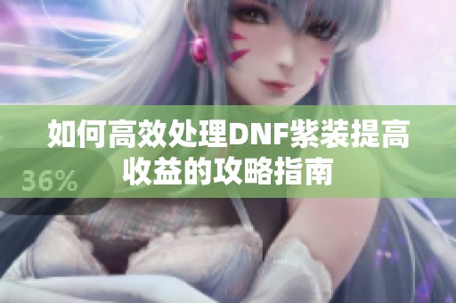 如何高效处理DNF紫装提高收益的攻略指南