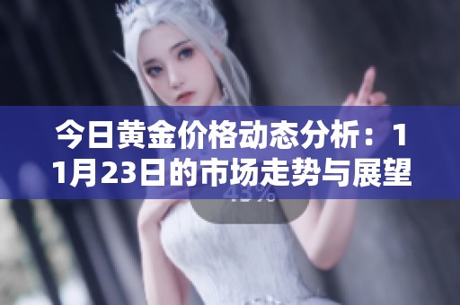 今日黄金价格动态分析：11月23日的市场走势与展望