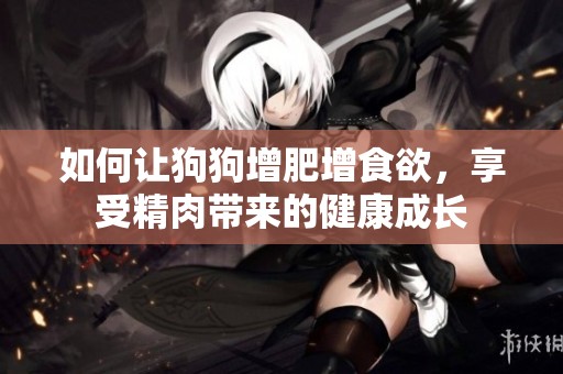 如何让狗狗增肥增食欲，享受精肉带来的健康成长