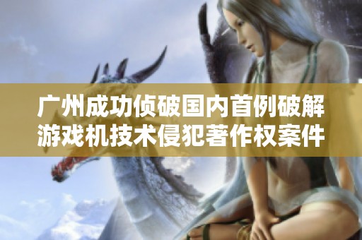 广州成功侦破国内首例破解游戏机技术侵犯著作权案件