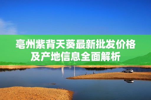 亳州紫背天葵最新批发价格及产地信息全面解析