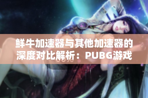 鲜牛加速器与其他加速器的深度对比解析：PUBG游戏玩家的首选解答