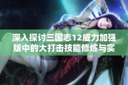 深入探讨三国志12威力加强版中的大打击技能修炼与实战运用技巧