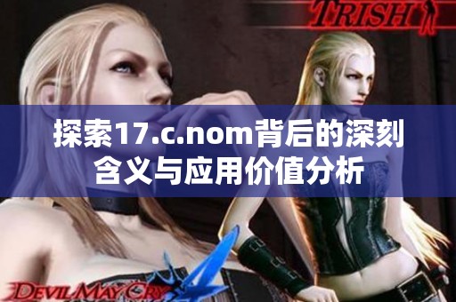 探索17.c.nom背后的深刻含义与应用价值分析