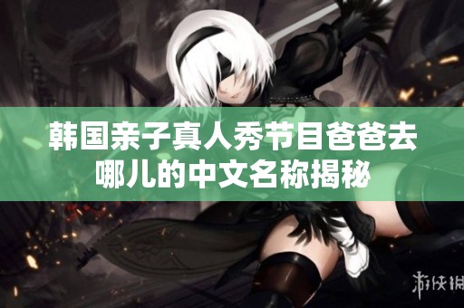韩国亲子真人秀节目爸爸去哪儿的中文名称揭秘