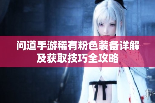 问道手游稀有粉色装备详解及获取技巧全攻略
